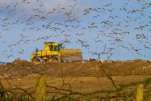 A project set up to burn Merseyside’s waste has had £90m funding pulled by the government. 