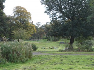 The public are invited to have their say about Liverpool's green spaces. Pic © JMU Journalism