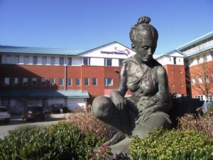Liverpool Women’s Hospital. Pic © Liverpool Women’s NHS Foundation Trust