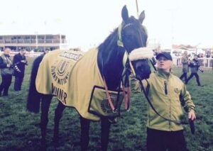 Many Clouds won the 2015 Grand National. Pic © Honest Frank / Twitter