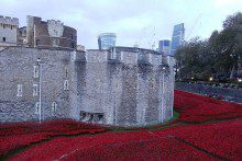 A sea of red poppies that captured the public's imagination in London last autumn will be displayed in Liverpool.