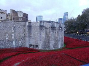 Tower of London poppies. Pic © Jonathan Cardy / Wikimedia Creative Commons
