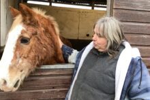 A sanctuary for horses and ponies claims delays over a lease extension is preventing vital funding opportunities that threaten its survival. 