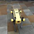 The demonstration of newly released robot dogs has caused a stir across Liverpool.