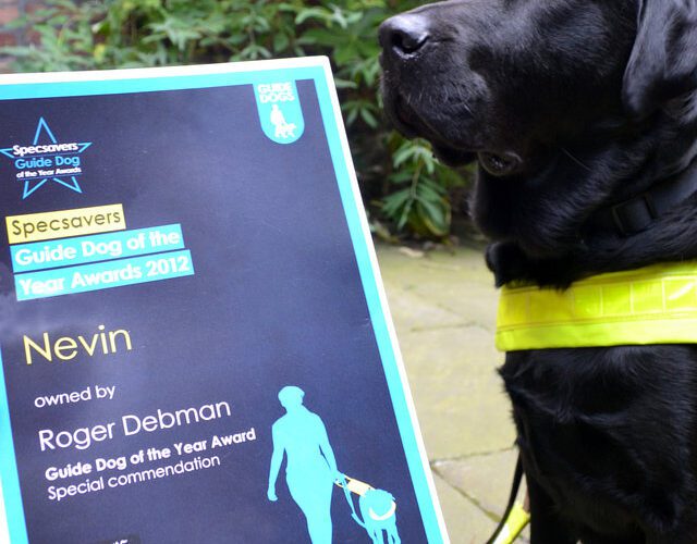 Rogers Guide dog Nevin which was attacked itself