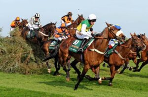 Aintree's Grand National fences have been altered for safety reasons © Trinity Mirror