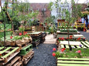 An Urban Orchard in Liverpool © Engage Bluegreen Liverpool