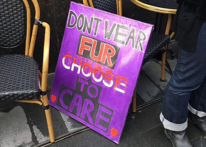 Latest News anti-fur