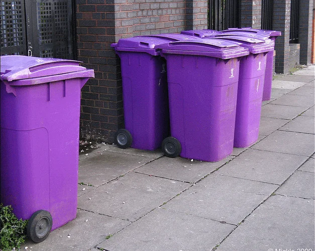 Latest News Bins