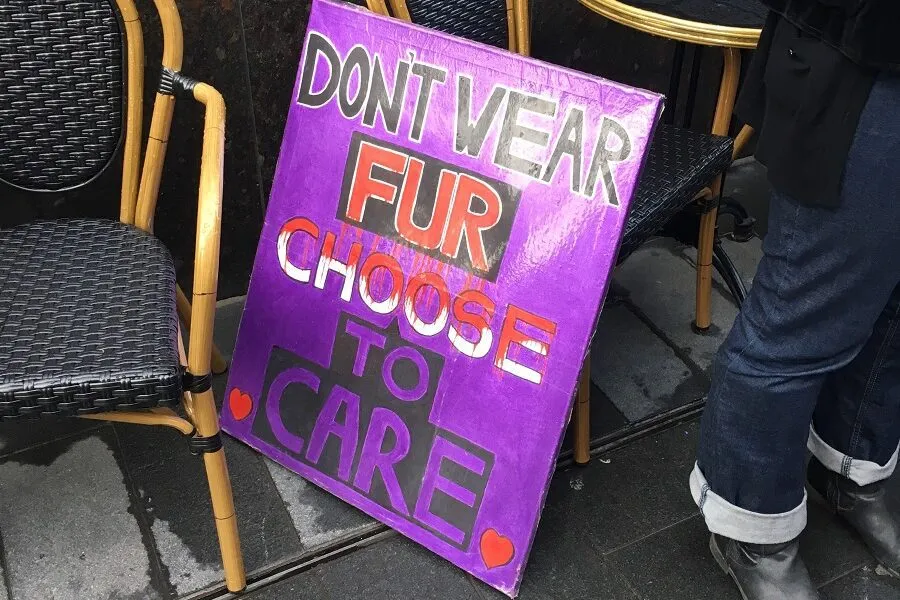 Latest News anti-fur